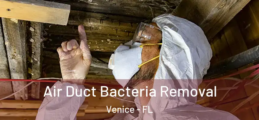 Air Duct Bacteria Removal Venice - FL