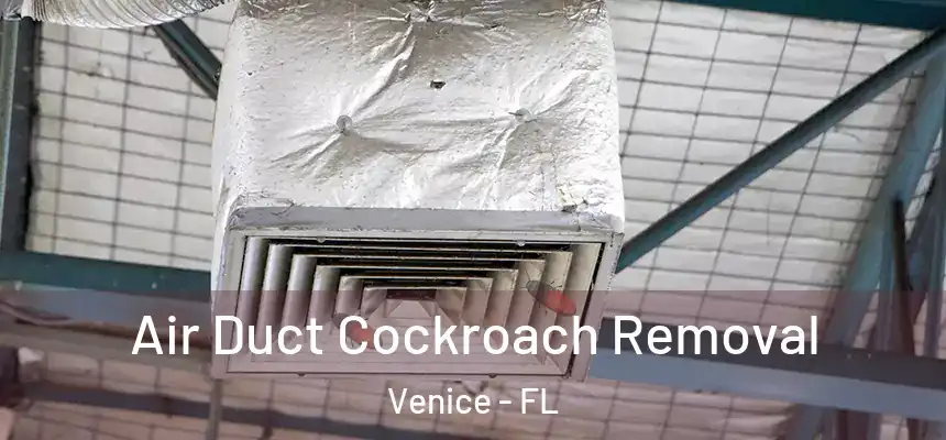 Air Duct Cockroach Removal Venice - FL