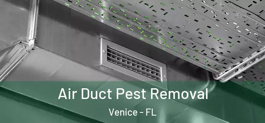 Air Duct Pest Removal Venice - FL