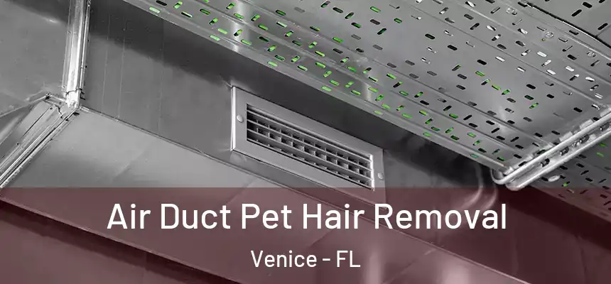 Air Duct Pet Hair Removal Venice - FL
