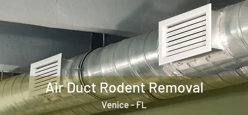Air Duct Rodent Removal Venice - FL