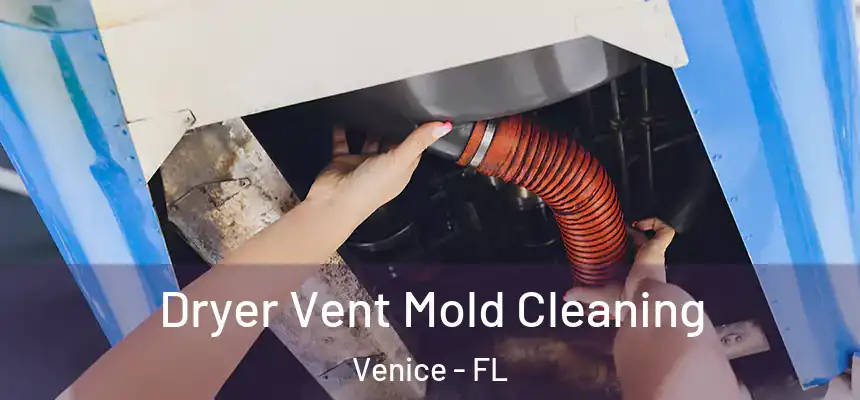 Dryer Vent Mold Cleaning Venice - FL