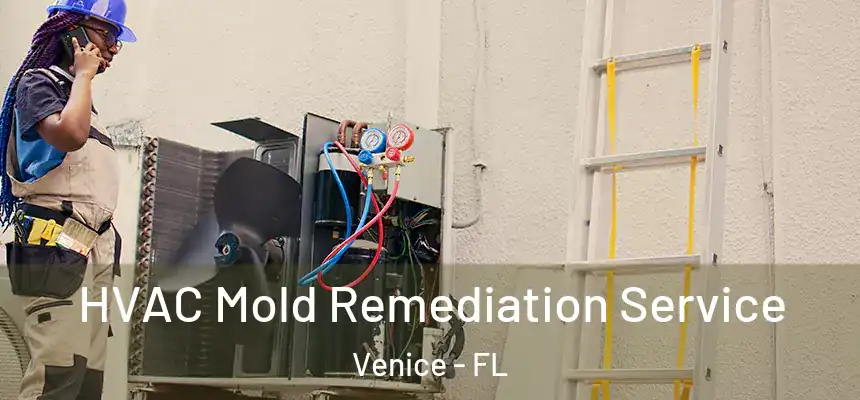 HVAC Mold Remediation Service Venice - FL