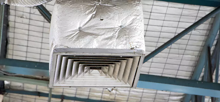 Our HVAC Mold Remediation Service Services in Venice, FL
