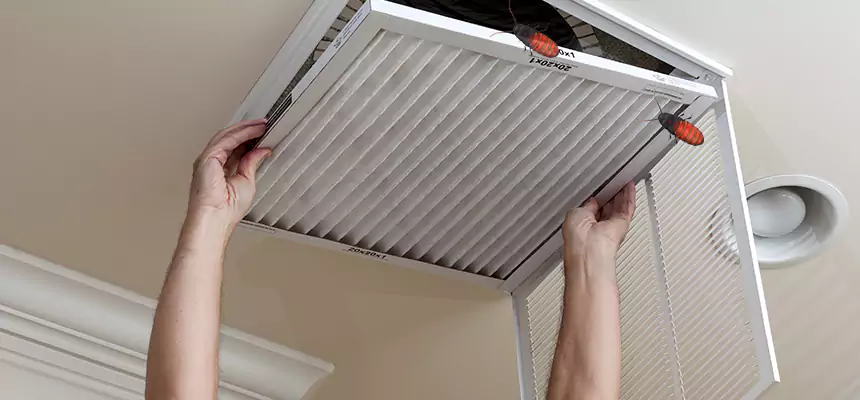 Our Insect Removal from Air Ducts Services in Venice, FL