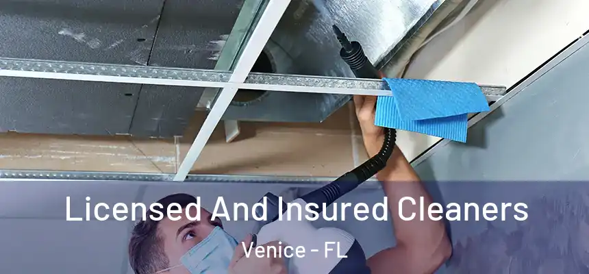 Licensed And Insured Cleaners Venice - FL