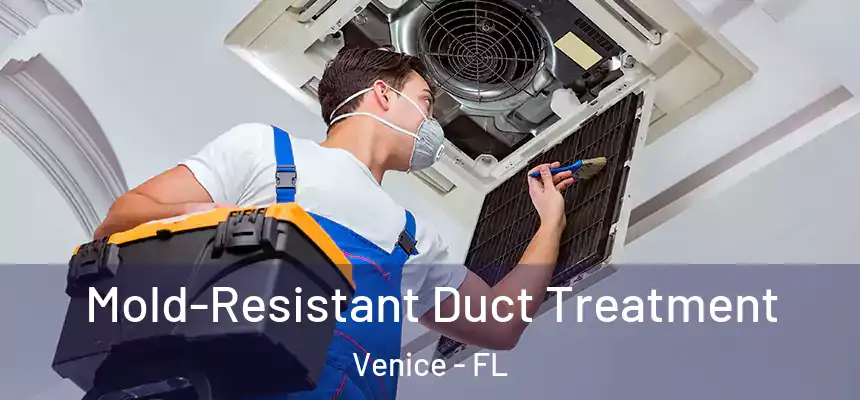 Mold-Resistant Duct Treatment Venice - FL
