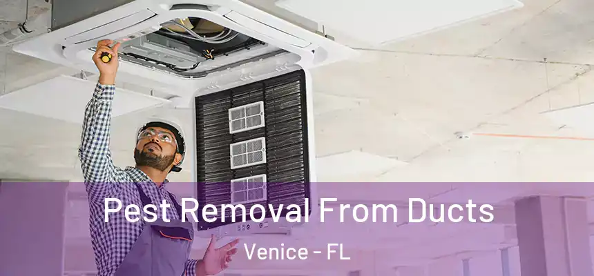 Pest Removal From Ducts Venice - FL