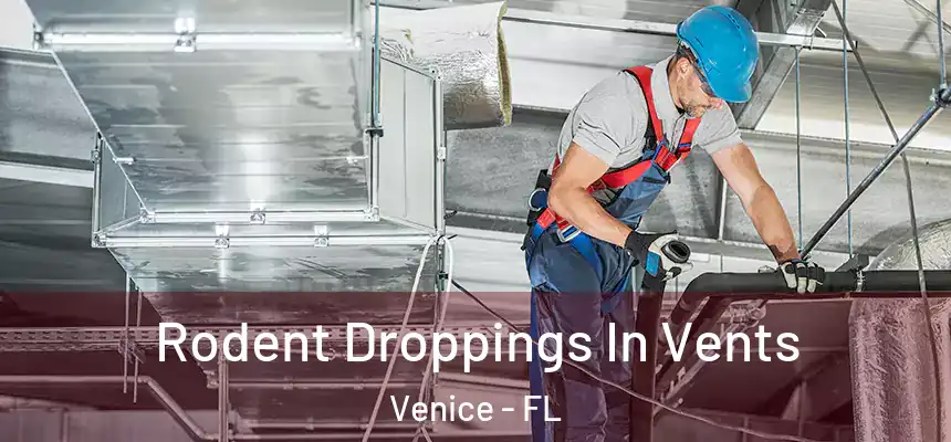 Rodent Droppings In Vents Venice - FL