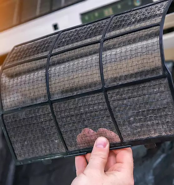 About Pet Dander Duct Cleaning in Venice, FL